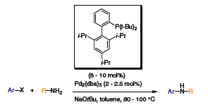 arylation pyridines