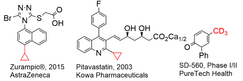 Examples of “drug-like” molecules containing CD3 or cyclopropyl fragments.