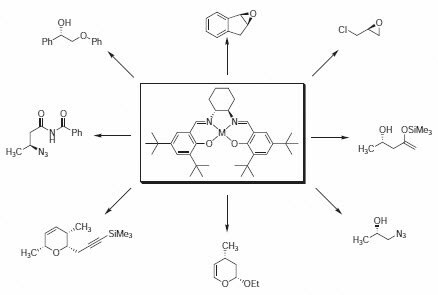 Schematic examples of the versatility of the salen complexes.