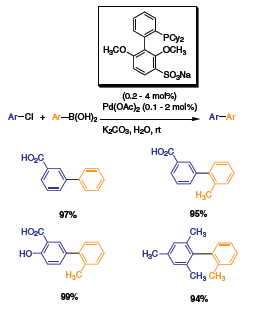 suzuki cross coupling reactant