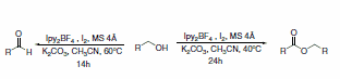 Scheme 31