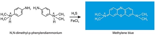 N,N-dimethyl-p-phenylendiammonium ion to yield methylene blue