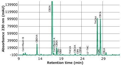 A chromatogram plotted between absorbance (measured in mAU) on y-axis and retention time (measured in minutes) on x-axis, depicting clear labeled peaks of cannabinoids and cannflavins derived from a mix of hemp flower acetone extracts at a dilution of 50X, captured at a wavelength of 230 nm