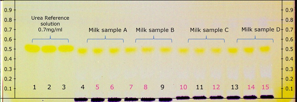 A derivatized HPTLC plate, viewed under white light, appears in a pale yellow hue. On both edges of the plate, there are 9 black markings, starting from the bottom line used for spotting, labeled from 0.0 to 0.9 at 0.1 cm intervals. Along the bottom, labels 1 to 10 are shown from left to right, with labels 1 to 4 in black and 5 to 10 in pink, representing the ten spots applied. The plate displays ten bright yellow-colored spots between Rf values of 0.45 to 0.55, corresponding to tracks labeled 1 to 10 from left to right. The first three spots on the left are for urea reference solution at a concentration of 0.7 mg/mL, followed by four sets of three spots each for four different milk samples analyzed.