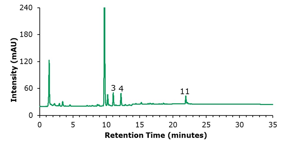 HPLC-FLD chromatogram of an unspiked olive oil sample. Intensity (mAU) on the y-axis and retention time (minutes) on the x-axis. Major ticks on x-axis at 5, 10, 15, 20, 30, and 35 minutes, and on y-axis at 60, 120, 180, and 240 mAU. The green curve starts parallel to the x-axis, shows a large peak at 1 minute (120 mAU) followed by 4 small peaks. At 10 minutes, another large peak (240 mAU) appears, followed by a small peak. Between 11 and 12 minutes, there are two small peaks labeled 3 and 4. At 22 minutes, there is another peak labeled 11, then the curve runs parallel to the x-axis again.