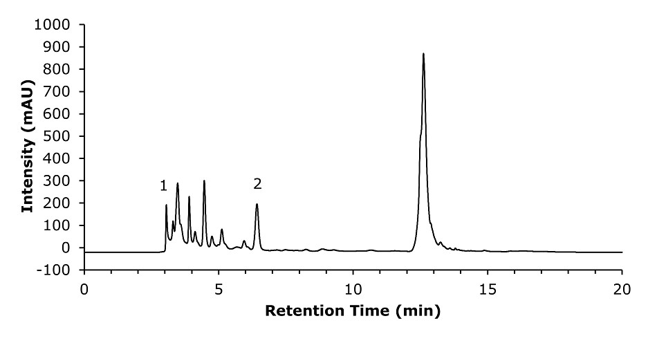 A chromatogram graph representing the analysis of a spiked smoke beer sample containing 20 mg/L of HMF. The x-axis, labeled "Retention Time (min)," spans from 0 to 20 minutes, and the y-axis, labeled "Intensity (mAU)," ranges from -100 to 1000. A black line traces the chromatographic data, starting from the baseline and forming a small peak at 3.1 minutes, labeled "1," representing the void volume. A significantly larger peak, labeled "2," appears at 6.4 minutes, corresponding to the HMF. Additional smaller peaks are visible between these two labeled points, as well as fluctuations throughout the rest of the trace.