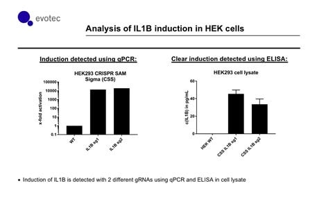 hek-cells-graph