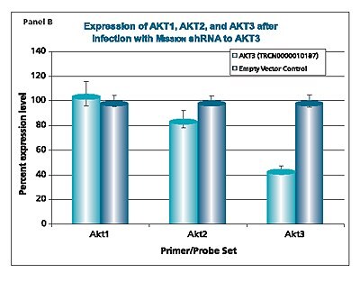 Mission shRNA to AKT3