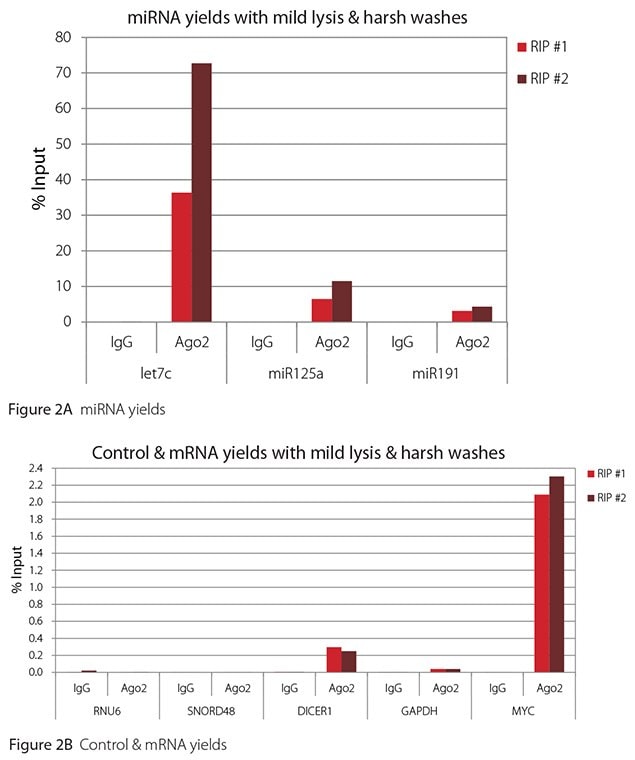 温和裂解 + 苛性洗涤下的 Ago2 RIP 的 RT-qPCR 结果