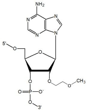 Methoxyethyl RNA