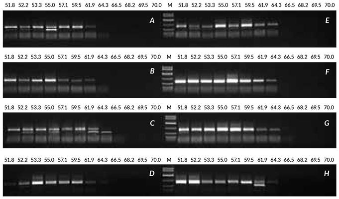 Results obtained with optimization of crude sample from linseed