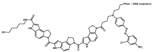 Chemical structure of minor groove binder with Eclipse Dark Quencher (MGB:EDQ)