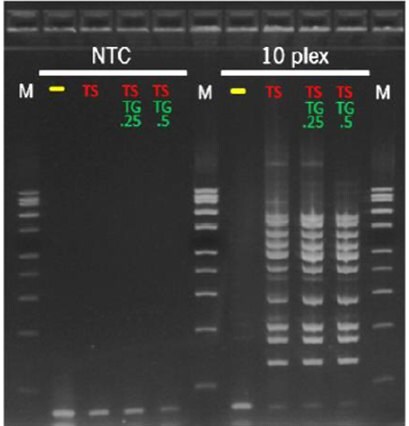 ThermaGo™ additive enhances the ThermaStop™ additive in multiplexing applications