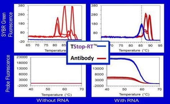 ThermaStop™-RT additive is active during the reverse transcription step