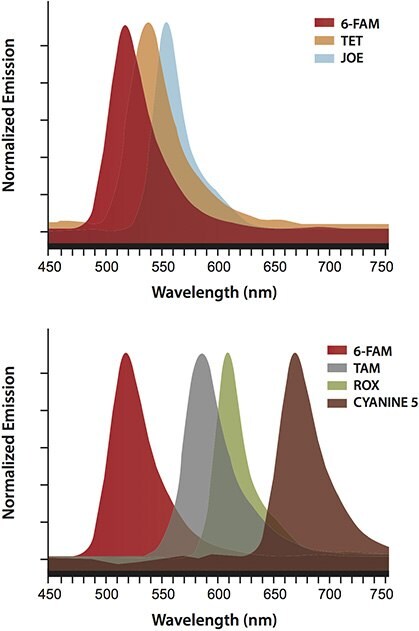 The unique characteristics of the BHQ variants permit flexibility in the choice of spectrally well-resolved reporters