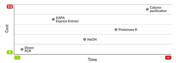 Direct qPCR comparison of blood spots and ear punches