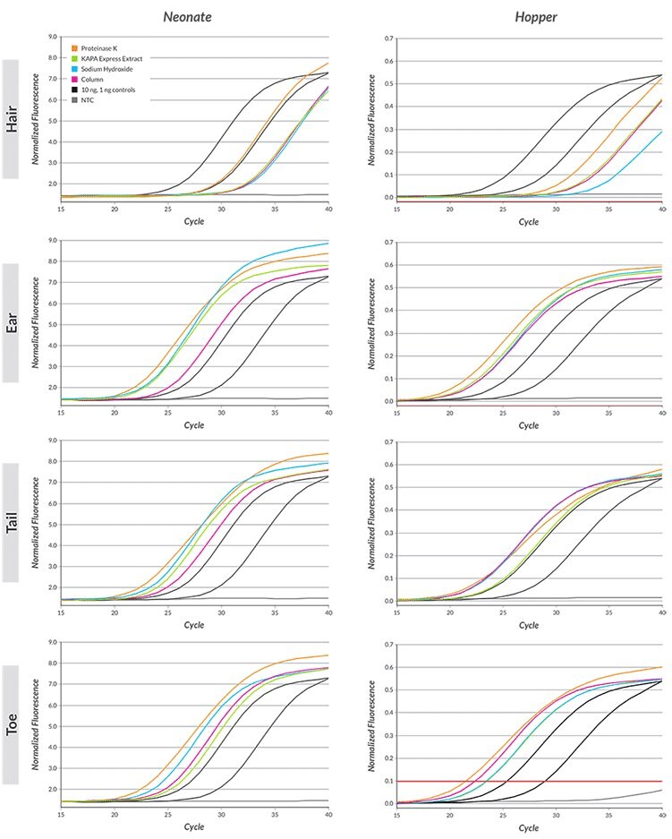 Extraction comparison for neonate and hopper mice