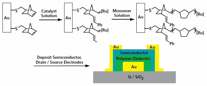 Modification of a gold gate electode for the surface initiated polymerization reaction to grow a dielectric layer.