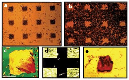 Optical micrographics of patterned arrays of organic semiconductor crystals nucleated selectively on to self-assembled terphenyl thiol template patterens