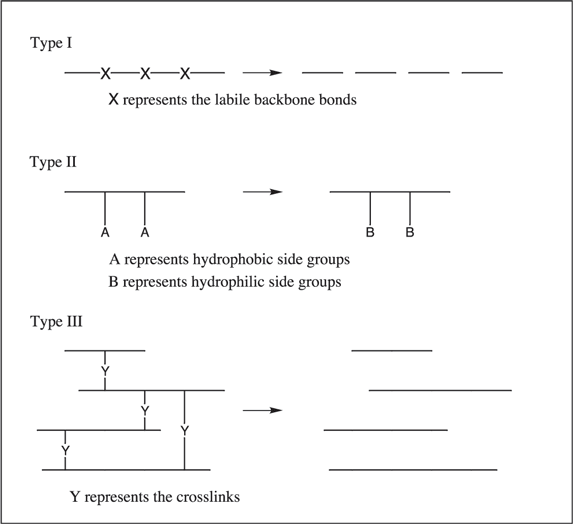 Schematic representation of the types of polymer degradation