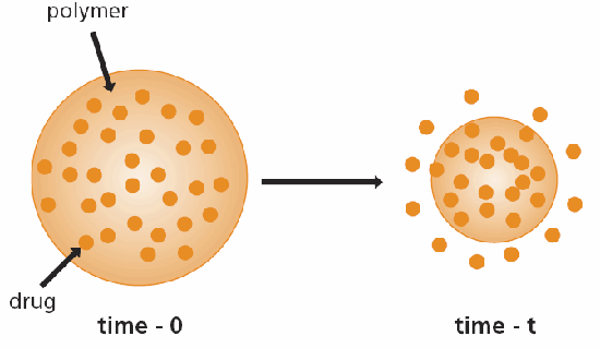 Schematic representation of biodegradable drug delivery device