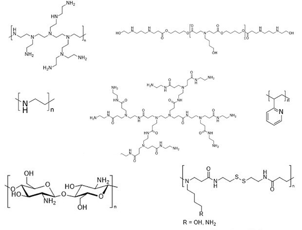 Structures of a variety of cationic polymer carriers including generation 2 poly(amidoamine) (PAMAM) dendrimers