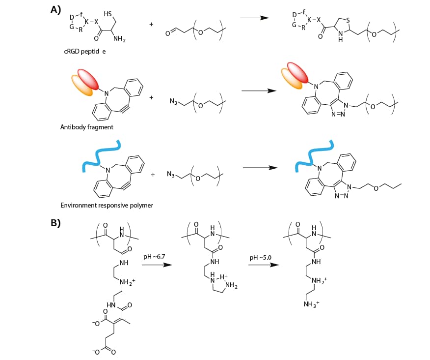 Synthesis scheme of modified PEG