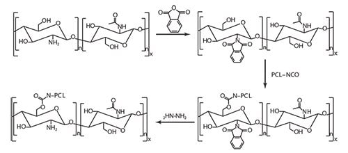 Štěpování PCL na chitosan chráněný phtalimidem.