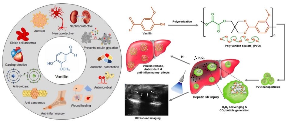 Polymeric Antioxidants For Therapeutic Modalities