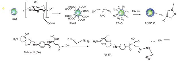 Schematic representation of the approach used to functionalize folic