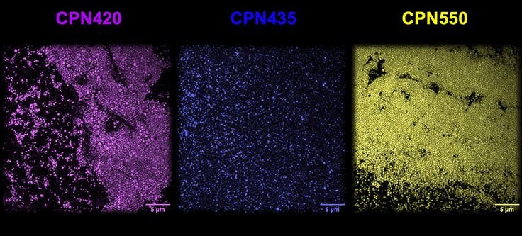 CPN 420 (violet), CPN 435 (indigo), and CPN 550 (yellow) imaged using super-resolution microscopy at the National Physical Laboratory, UK, displaying consistent size and brightness