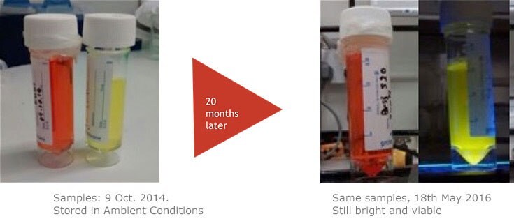 CPNs remain photostable for up to 24 months