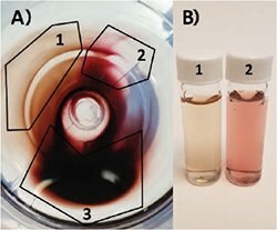 金ナノ粒子のペレットを含む遠心管を上から見た画像