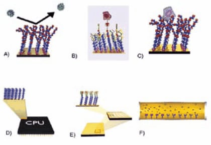 Possible applications for alkanethiol monolayers