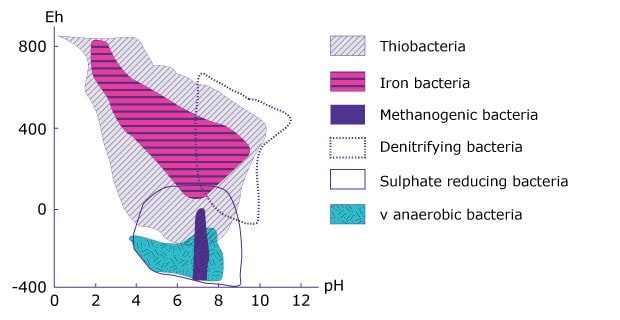 A graph illustrating the distribution of various bacterial groups, including Thiobacteria, Iron bacteria, Methanogenic bacteria, Denitrifying bacteria, Sulphate-reducing bacteria, and anaerobic bacteria, across different pH levels and redox potential (Eh).