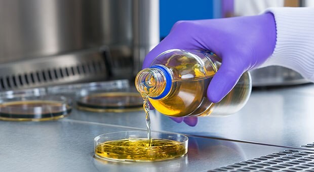 A liquid medium is being poured into a Petri dish