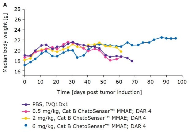 Chart demonstrating that body weight of mice treated with ChetoSensar™-ADCs DAR 4 shows good tolerability in-vivo.