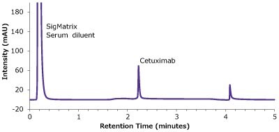 A chromatogram plotted between intensity (measured in mAU) on y-axis and retention time (measured in minutes) on x-axis. It clearly depicts a peak for SigMatrix Serum diluent at 0.21 minutes and a peak for cetuximab at 2.22 minutes. These observations were recorded during the analysis of the antibody in a matrix standard employing a Chromolith® WP 300 Protein A column.