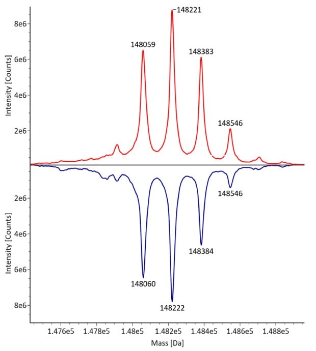 The deconvoluted mass spectra for non-reduced trastuzumab reveals distinct peaks at mass values of 148059, 148221, 148383, and 148546 from left to right. The innovator is depicted by a red curve, and the biosimilar by a blue curve, with intensity measured in counts on the y-axis and observed mass on the x-axis.