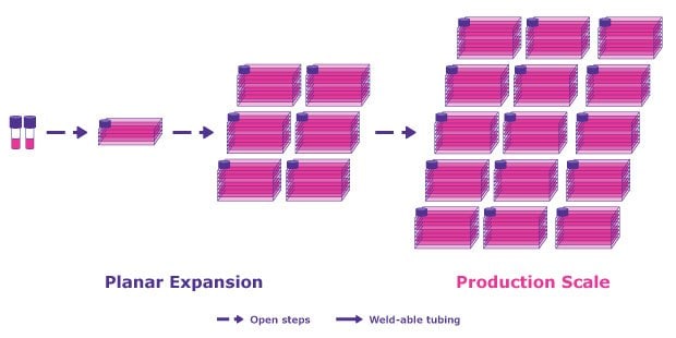 An adherent system offers up many challenges compared to a suspension system which offer suspension-adapted cell lines, virus production boosting agents, improved scalability, less labor intensive, close processing and lower costs.