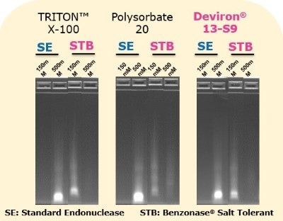 Benzonase<sup>®</sup> Salt Tolerant Endonuclease beh&auml;lt ihre F&auml;higkeit zum DNA-Abbau bei Verwendung in Kombination mit verschiedenen Detergenzien, einschlie&szlig;lich Polysorbat&nbsp;20, Triton&nbsp;X-100, Deviron<sup>®</sup>&nbsp;C16 oder Deviron<sup>®</sup>&nbsp;13-S9.