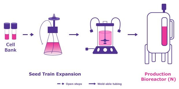 An adherent system offers up many challenges compared to a suspension system which offer suspension-adapted cell lines, virus production boosting agents, improved scalability, less labor intensive, close processing and lower costs.