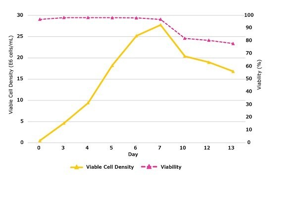 Viable cell density, viability, and productivity in a 14 day fed-batch process in a single-use bioreactor for monoclonal antibody production