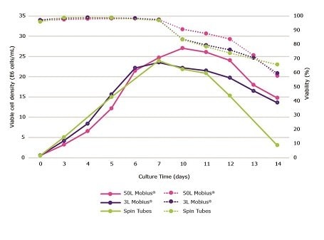 Viable cell density and viability during a 14 day fed batch culture process