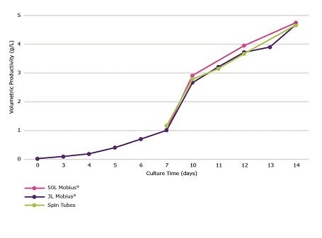 Volumetric productivity during a 14 day fed batch culture process