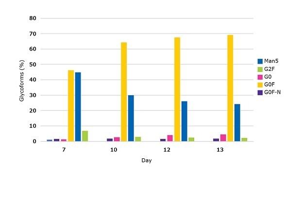 N-glycosylation profiles of monoclonal antibody producing clone over 13 days