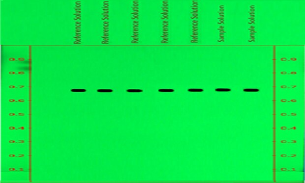 A thin-layer chromatography (TLC) plate, visualized under UV light at 254 nm, displays a vibrant green background. Both edges of the plate have 9 red markings from 0.1 to 0.9 cm at 0.1 cm intervals. A line is drawn across the top at the 1 cm mark, with tracks labeled above it. The plate shows seven distinct spots: five labeled as reference solution (from left to right) and the last two on the right labeled as sample solution. These spots are positioned just below the Rf value of 0.7 and stand out clearly against the green background.