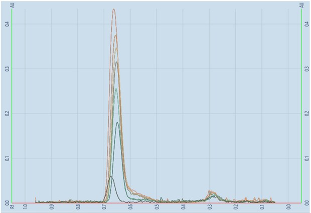 A TLC-densitogram, obtained for the developed plate using a TLC analyzer and scanned at 254 nm. The y-axis represents the detector response in absorbance units (AU) with major tick marks at 0.1, 0.2, 0.3, 0.4. The x-axis displays the retention factor, with major tick marks at intervals of 0.1, ranging from 0.0 to 1.0 (from right to left). It shows an overlay of peaks formed between Rf values of 0.7 and 0.6, of increasing heights obtained for the seven individual tracks.