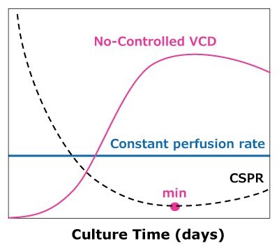 In dynamic perfusion, VCD is allowed to reach a maximum level while running at a constant perfusion rate, reaching a minimum CSPR. In steady state perfusion, a minimum CSPR is not reached as cell growth is controlled through bleed, maintaining a constant VCD below the maximum.