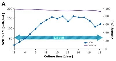 In dynamic perfusion, a high viable cell density (VCD) of 150 × 10^6 cells/mL at 1.5 VVD was achieved, and both volumetric (VP) and cell specific (qP) productivities were increased over time. In steady state perfusion, target VCD of 50 × 10^6 cells/mL was maintained at 1.5 and 1.0 VVD, and both VP and qP remained stable.